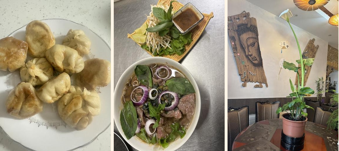 Anshu - Gallery Image 1